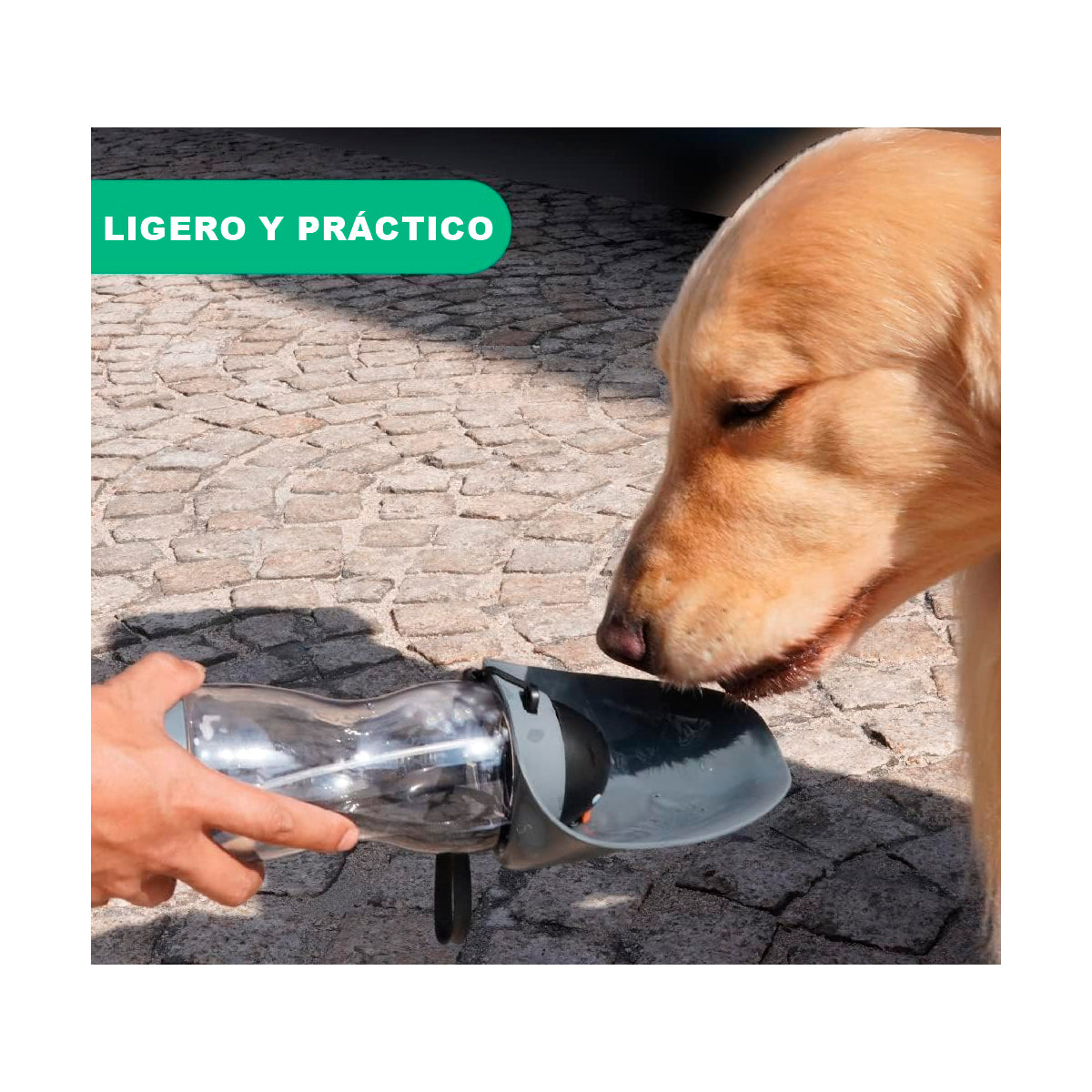 Bebedero para Perro 3en1: Agua, Comida Y Rollo de Bolsas para Popo, 550ml.