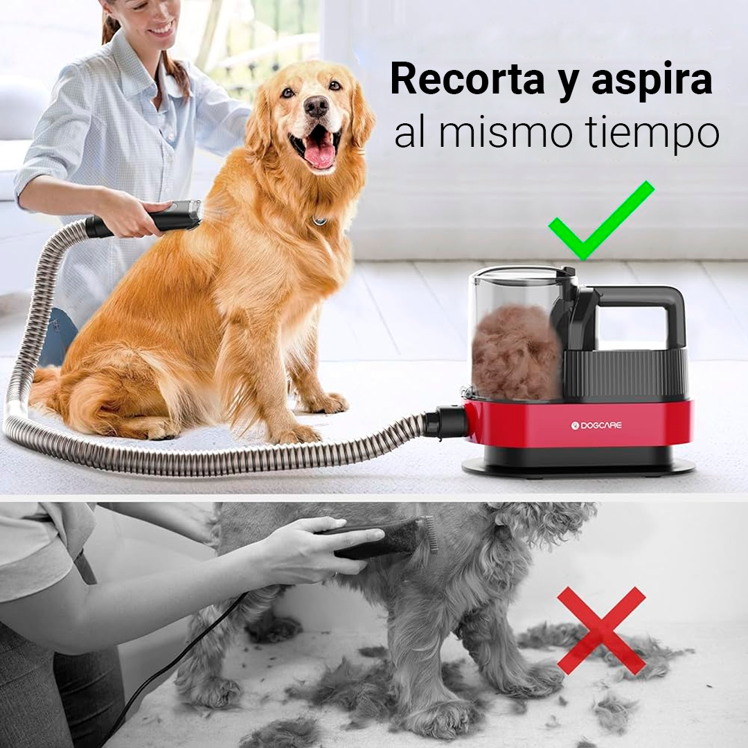 现代猫狗美容套装 6 合 1 